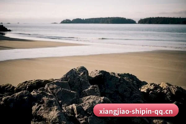 海外版图扩张